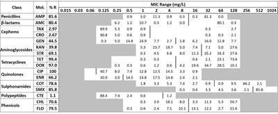 Antibiotic Resistance Profiles of Salmonella Recovered From Finishing Pigs and Slaughter Facilities in Henan, China